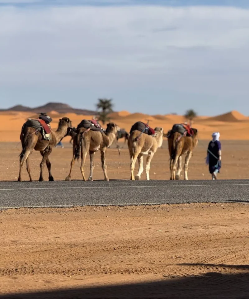 Morocco Tour from Fez in 12 days