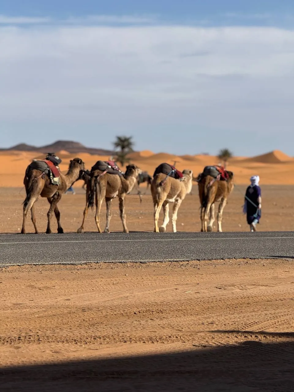 15 day morocco tour from marrakech
