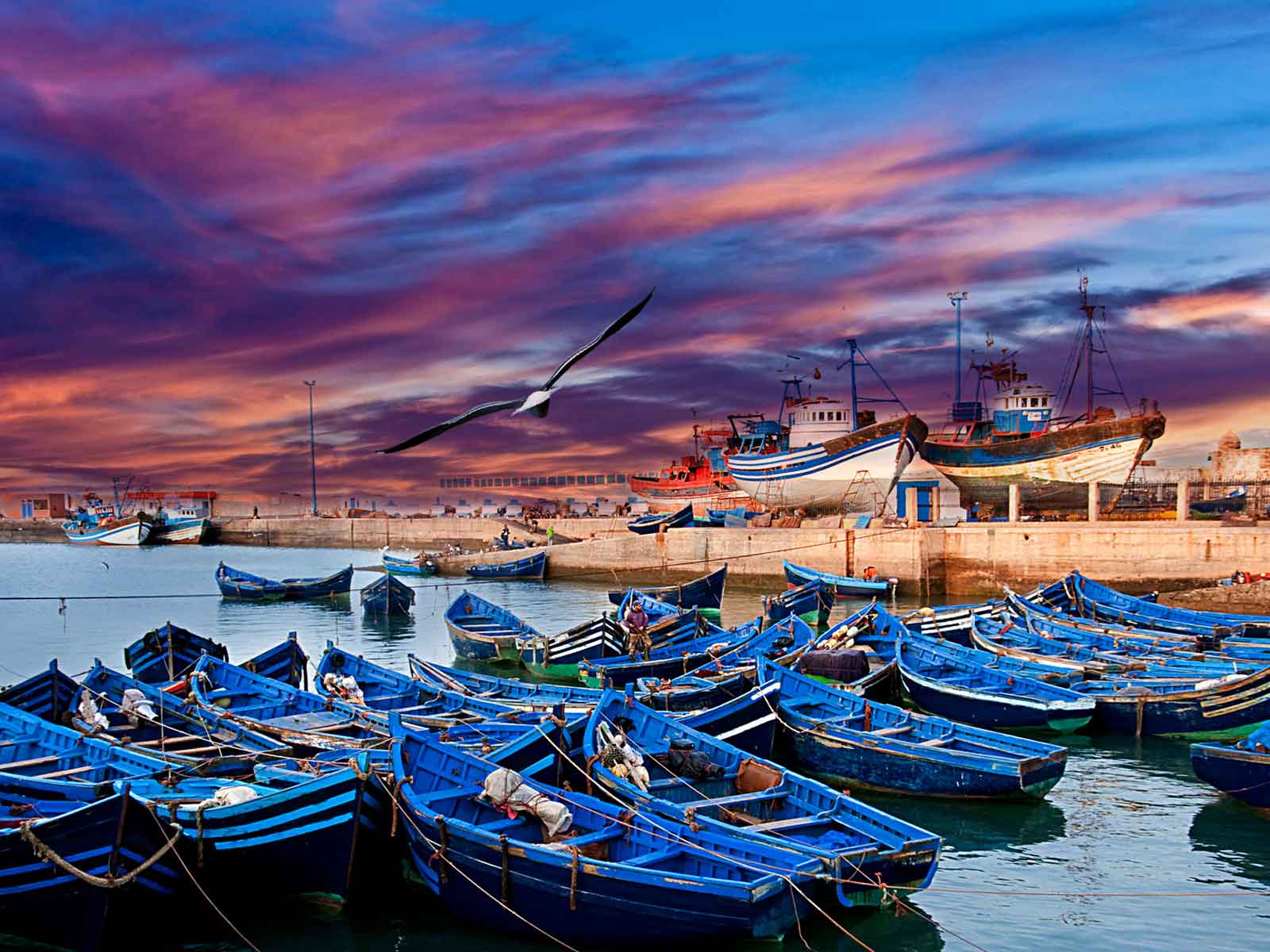 15 Days Morocco Desert Tour from Tangier