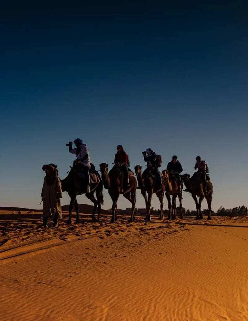 about Morocco Tours Agency