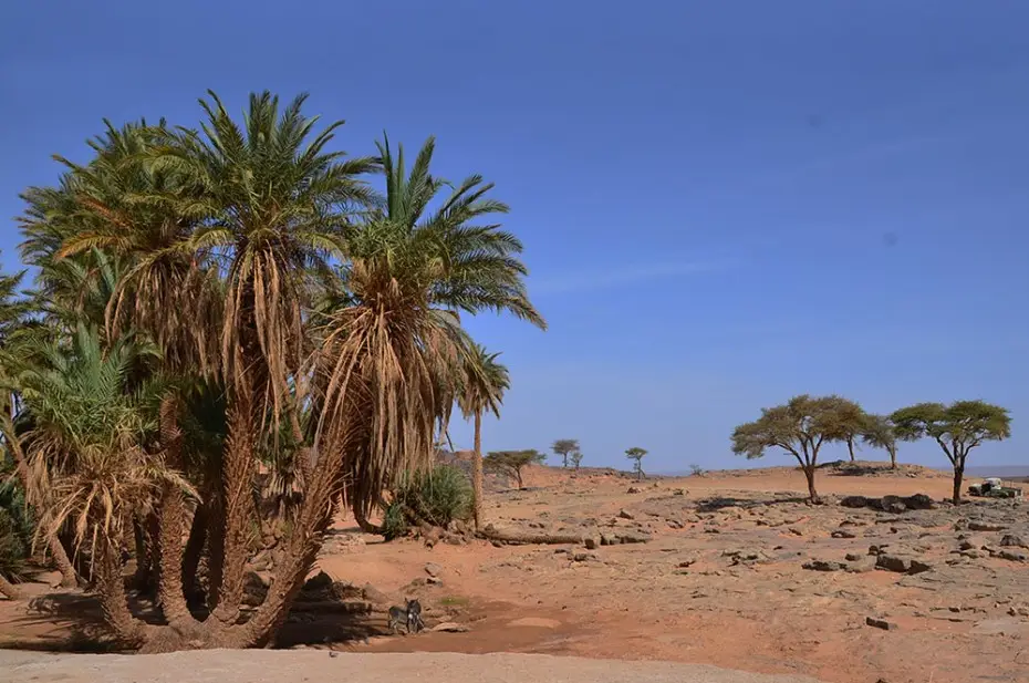 7-Day from Marrakech to Erg Chigaga Tour
