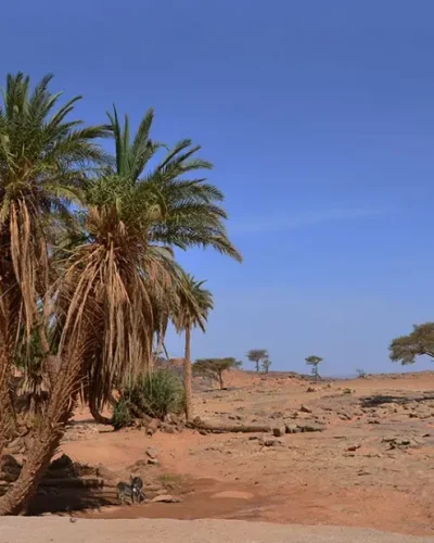 7-Day from Marrakech to Erg Chigaga Tour