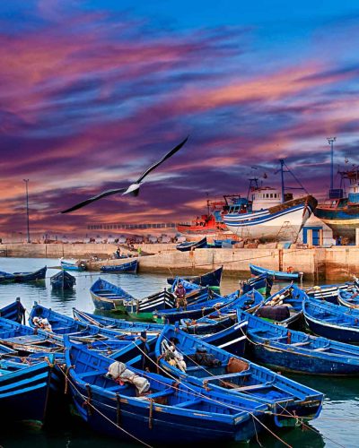 15 Days Morocco Desert Tour from Tangier